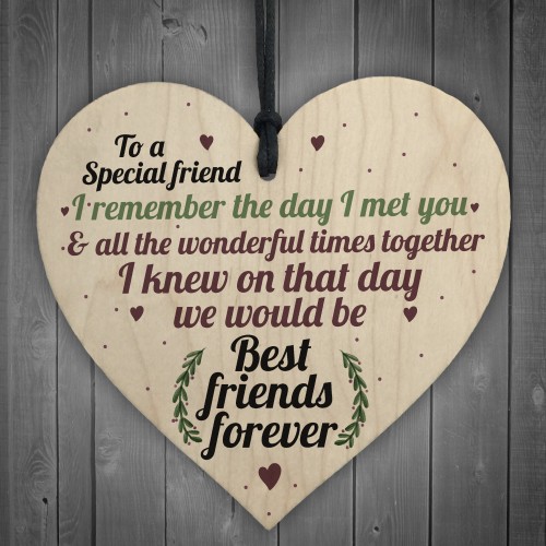 Best Friend Friendship Sign Women Birthday Plaque Chic Wood