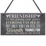 Best Friend Sign Friendship Gift Funny Thank You Hanging Plaque 