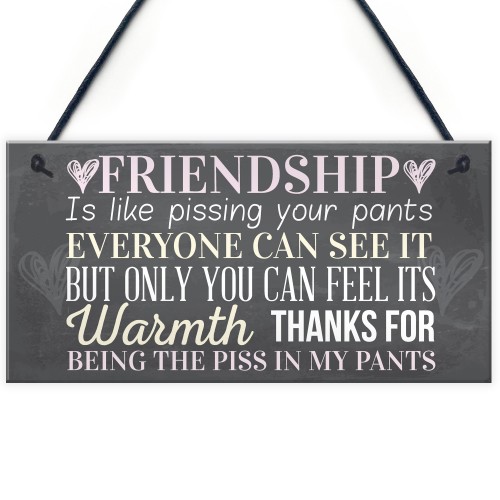 Best Friend Sign Friendship Gift Funny Thank You Hanging Plaque 