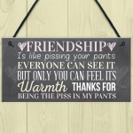 Best Friend Sign Friendship Gift Funny Thank You Hanging Plaque 