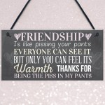 Best Friend Sign Friendship Gift Funny Thank You Hanging Plaque 