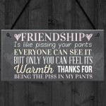 Best Friend Sign Friendship Gift Funny Thank You Hanging Plaque 