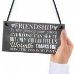 Best Friend Sign Friendship Gift Funny Thank You Hanging Plaque 