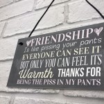 Best Friend Sign Friendship Gift Funny Thank You Hanging Plaque 