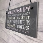 Best Friend Sign Friendship Gift Funny Thank You Hanging Plaque 