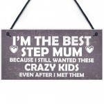 Best Stepmum Crazy Kids Novelty Hanging Plaque Gifts For Mum