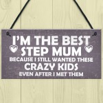 Best Stepmum Crazy Kids Novelty Hanging Plaque Gifts For Mum