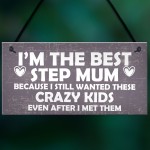 Best Stepmum Crazy Kids Novelty Hanging Plaque Gifts For Mum