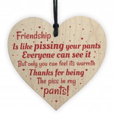 Friendship Best Friend Gift Funny Thank You Birthday Wooden Gift