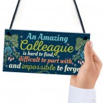 Amazing Colleague Gift Hanging Plaque Friendship Work Thank You