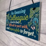 Amazing Colleague Gift Hanging Plaque Friendship Work Thank You