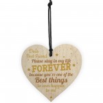 Best Friend Gift Friendship Sign Wooden Hanging Plaque Sign 
