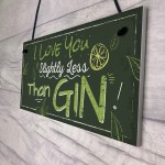 Novelty GIN Friendship Plaque Alcohol Birthday Sign Home Bar