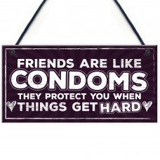 Funny Friendship Sign Best Friend Gift Novelty Birthday Plaque