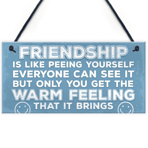 Novelty Best Friend Sign Friendship Funny Rude Gift Novelty Sign