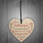 Friendship Colleague Gift Wooden Heart Plaque Work Friend Gift
