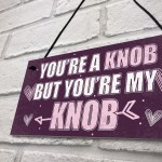 YOU'RE A KNOB Novelty Anniversary Valentines Gift Hanging Plaque