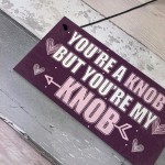 YOU'RE A KNOB Novelty Anniversary Valentines Gift Hanging Plaque