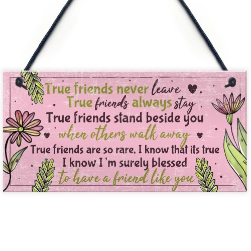 True Friend Friendship Quote Best Friend Hanging Plaque Birthday