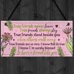 True Friend Friendship Quote Best Friend Hanging Plaque Birthday