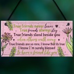 True Friend Friendship Quote Best Friend Hanging Plaque Birthday