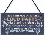 Funny Best Friend Friendship Plaques Shabby Chic Cute Thank You