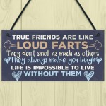 Funny Best Friend Friendship Plaques Shabby Chic Cute Thank You