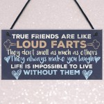 Funny Best Friend Friendship Plaques Shabby Chic Cute Thank You