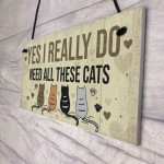 Really Do Need All These Cats Sign Home Funny Crazy Cat Lady