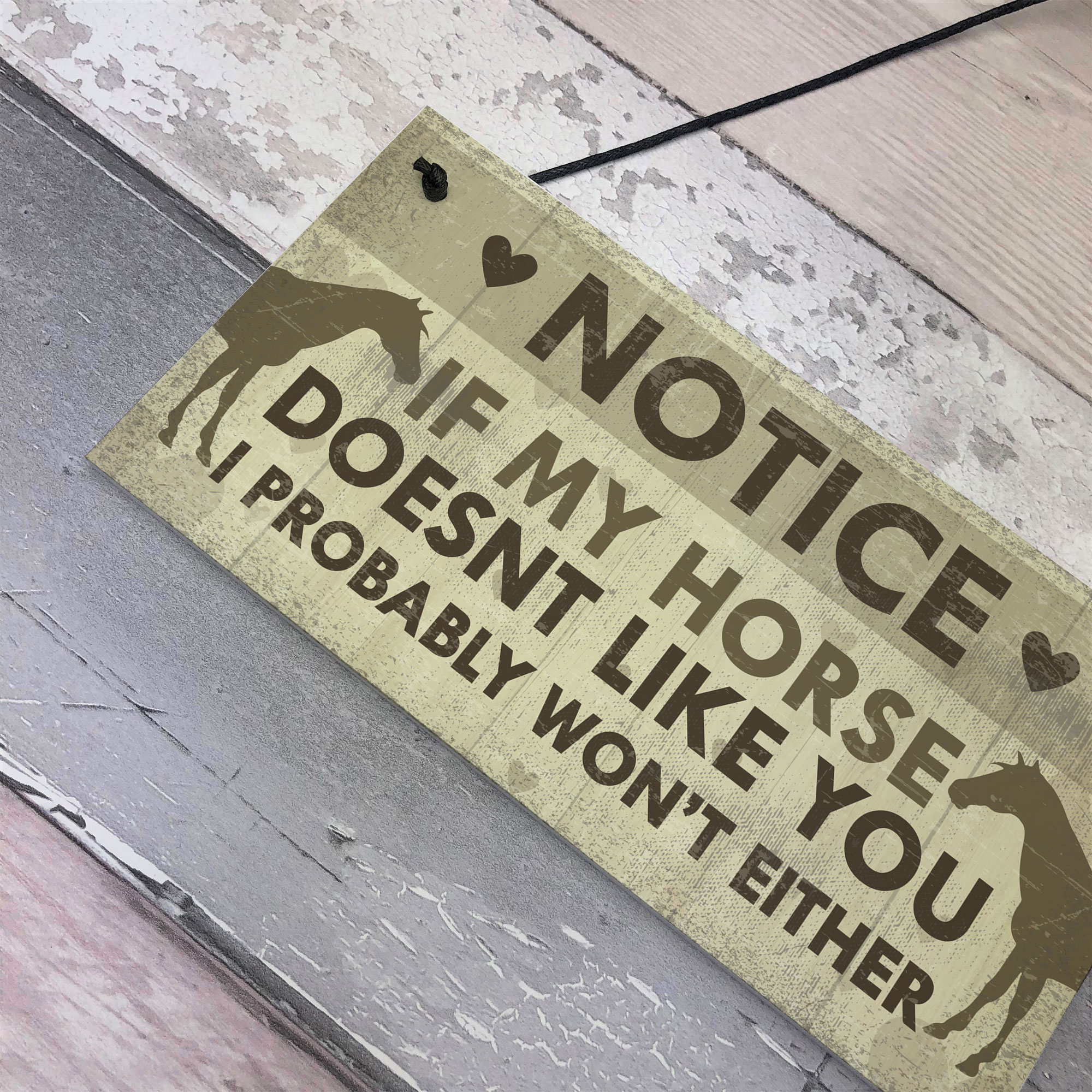 Funny Horse Gifts For Women Hanging Sign Horse Gifts For Girls