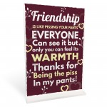 Novelty Best Friend Sign Funny Friendship Gift Thank You Plaque