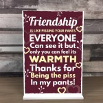 Novelty Best Friend Sign Funny Friendship Gift Thank You Plaque