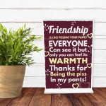 Novelty Best Friend Sign Funny Friendship Gift Thank You Plaque