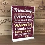 Novelty Best Friend Sign Funny Friendship Gift Thank You Plaque