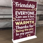 Novelty Best Friend Sign Funny Friendship Gift Thank You Plaque