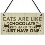Funny CAT Sign For Home Shabby Chic Wall Door Funny Pet Plaque 