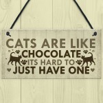 Funny CAT Sign For Home Shabby Chic Wall Door Funny Pet Plaque 