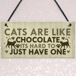 Funny CAT Sign For Home Shabby Chic Wall Door Funny Pet Plaque 
