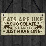 Funny CAT Sign For Home Shabby Chic Wall Door Funny Pet Plaque 