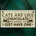 Funny CAT Sign For Home Shabby Chic Wall Door Funny Pet Plaque 