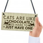 Funny CAT Sign For Home Shabby Chic Wall Door Funny Pet Plaque 