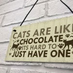 Funny CAT Sign For Home Shabby Chic Wall Door Funny Pet Plaque 