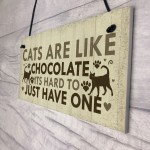 Funny CAT Sign For Home Shabby Chic Wall Door Funny Pet Plaque 