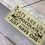 Funny CAT Sign For Home Shabby Chic Wall Door Funny Pet Plaque 