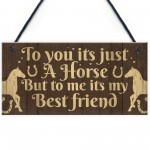 Gift For Horse Lovers Best Friend Horse Gift For Girls Women