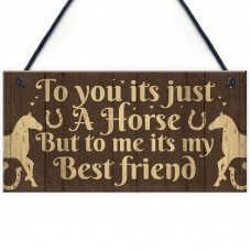 Gift For Horse Lovers Best Friend Horse Gift For Girls Women