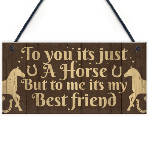 Gift For Horse Lovers Best Friend Horse Gift For Girls Women