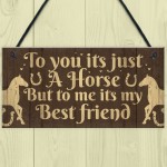 Gift For Horse Lovers Best Friend Horse Gift For Girls Women