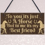 Gift For Horse Lovers Best Friend Horse Gift For Girls Women