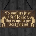 Gift For Horse Lovers Best Friend Horse Gift For Girls Women